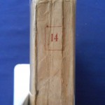 32